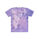 1/1: Wisteria