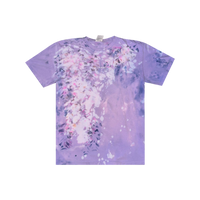 1/1: Wisteria