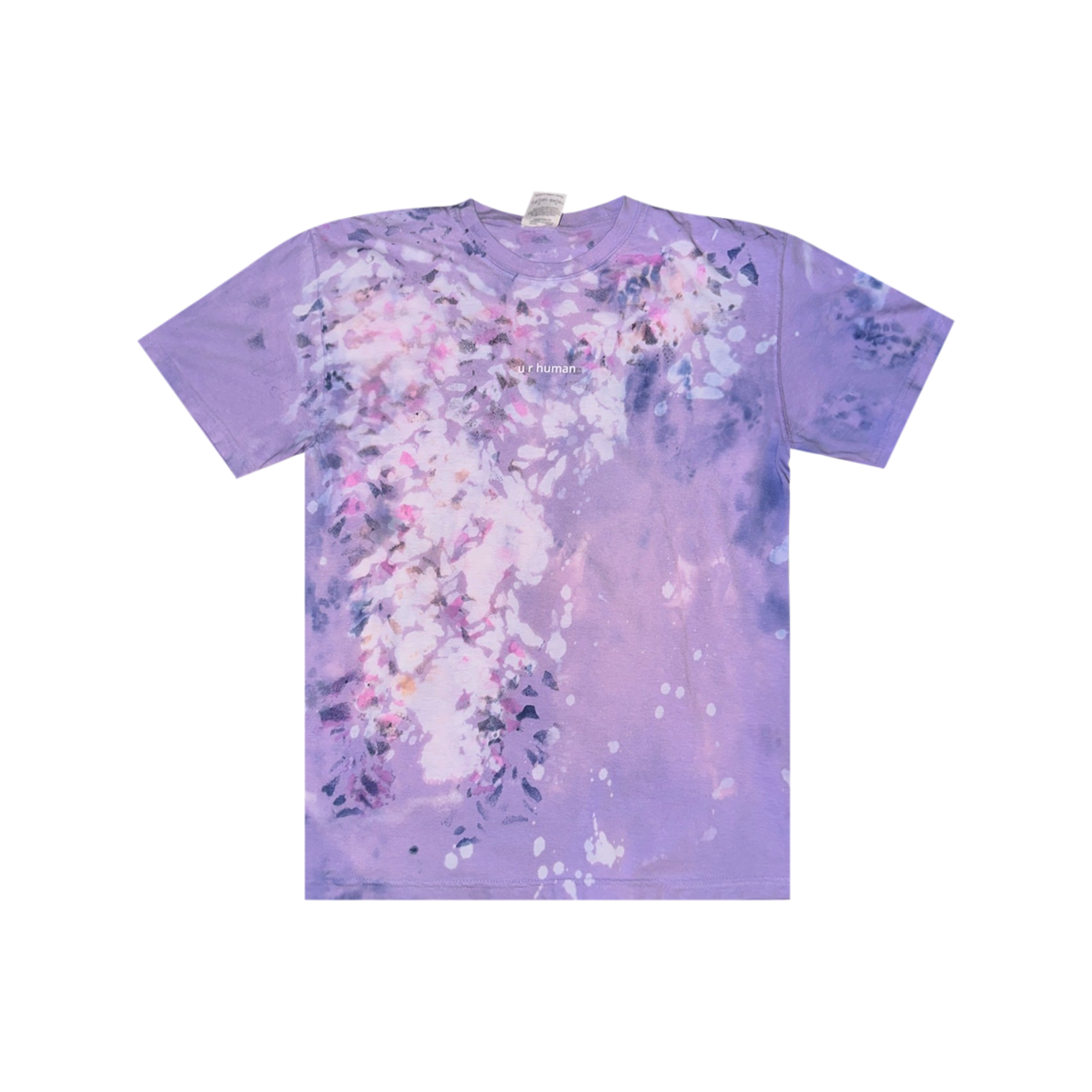 1/1: Wisteria