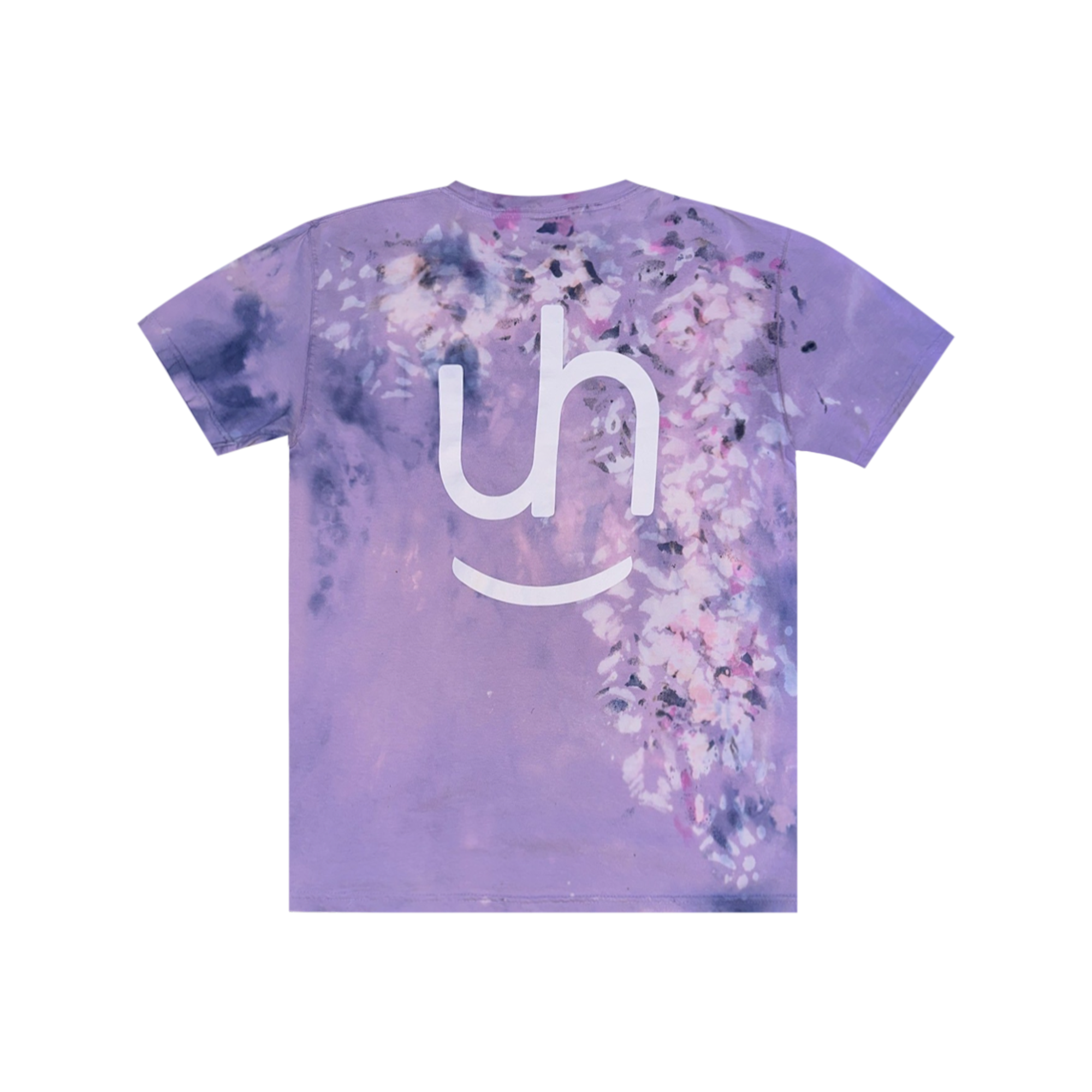 1/1: Wisteria